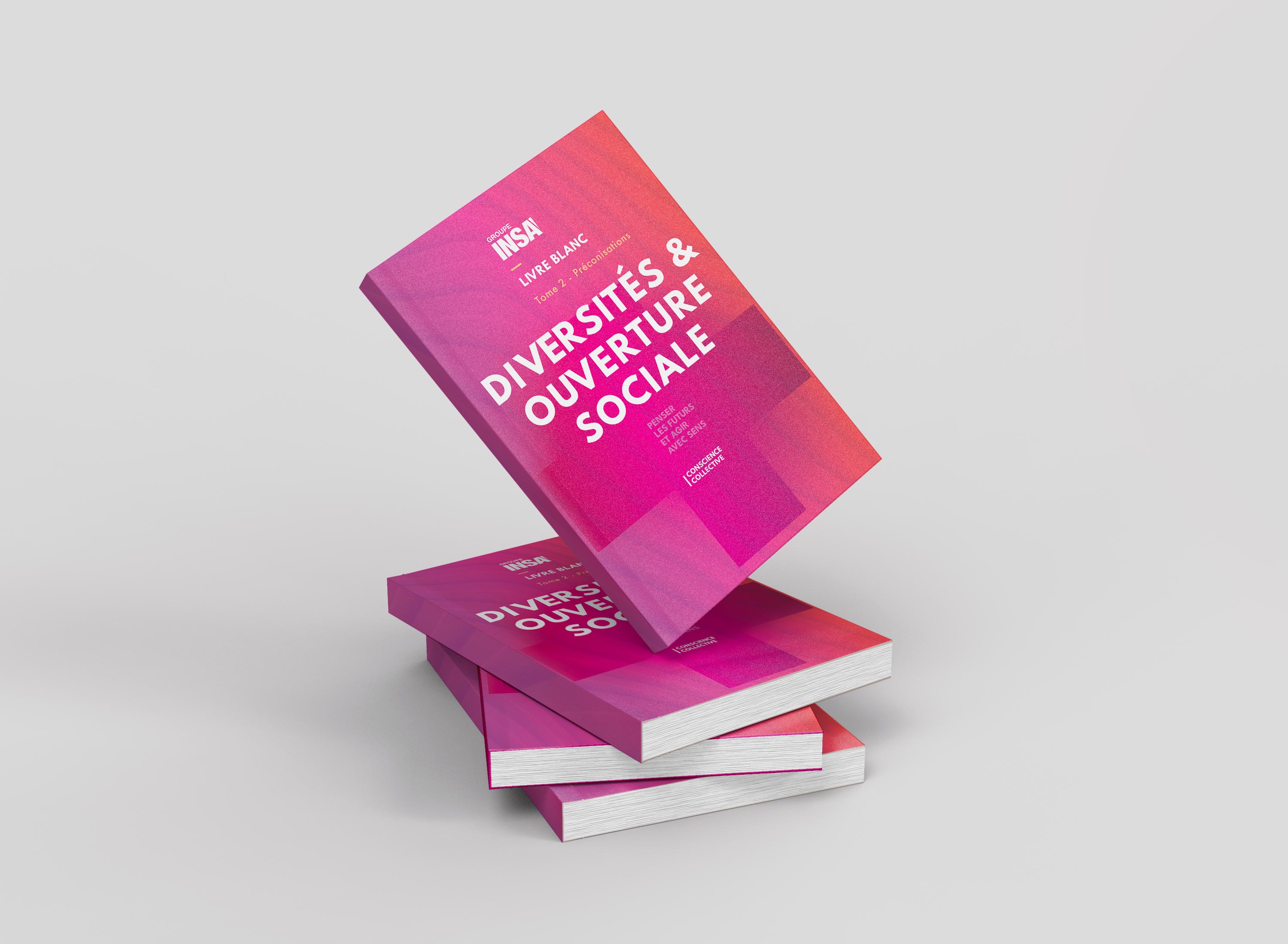 Tome 2 "DIVERSITES & OUVERTURE SOCIALE" Tome 2 "DIVERSITES & OUVERTURE SOCIALE"